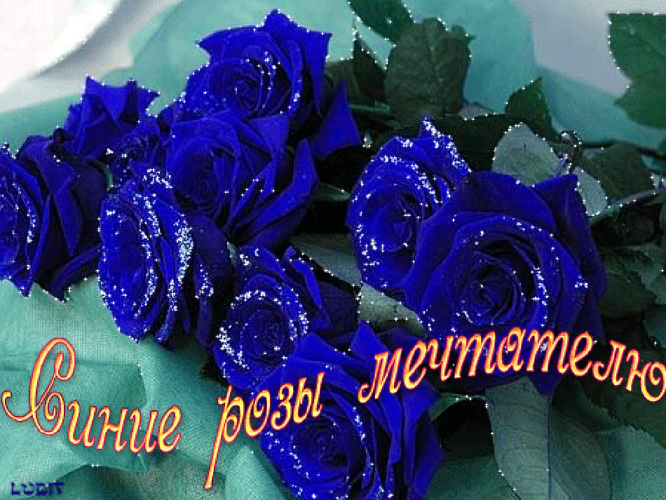 Поздравление С Днем Рождения Синие Цветы