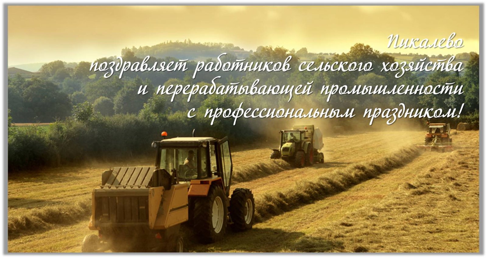 Скачать Поздравления С Днем Сельского Работника