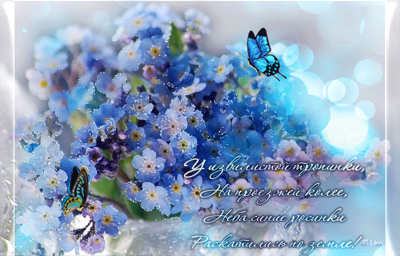 Поздравление С Днем Рождения Синие Цветы