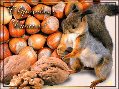 Открытки с Ореховым спасом скачать бесплатно. Открытки с Ореховым спасом с по...