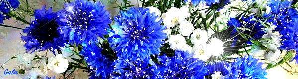 Открытки с букетом васильков скачать бесплатно. Открытки с букетом васильков ...