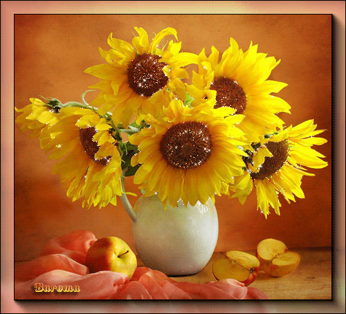 Открытки с подсолнухами скачать бесплатно. Открытки с подсолнухами gif.