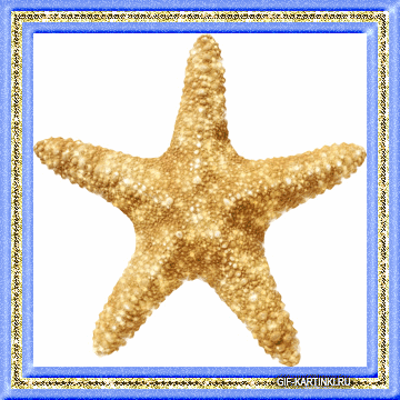 Открытки с морскими звездами анимационные. Открытки с морскими звездами gif.