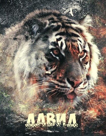 Открытки с именем Давид скачать бесплатно. Открытки с именем Давид gif.