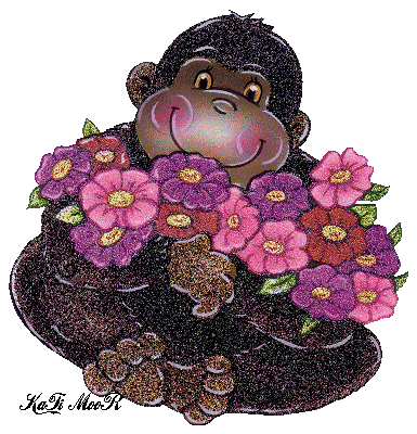Открытки с обезьянами gif. Открытки с обезьянами скачать бесплатно.