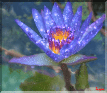 Открытки с лотосом анимационные. Блестящие открытки с лотосом.