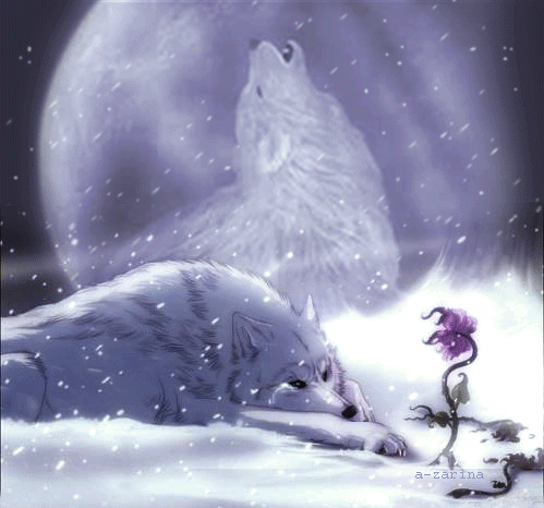 Анимационные открытки с волками. Скачать открытки с волками gif.