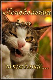 Открытки на понедельник скачать. Открытки на понедельник бесплатно.