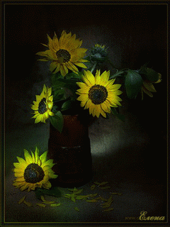 Открытки с подсолнухами скачать бесплатно. Открытки с подсолнухами gif.