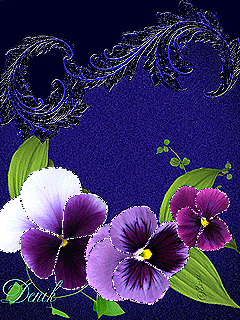 Открытки с разноцветными анютиными глазками скачать бесплатно.