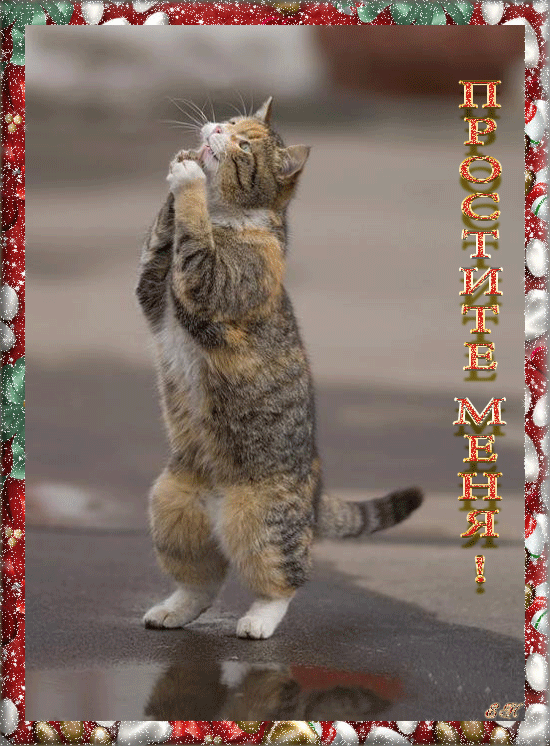 Открытки давай мириться с анимациями. Открытки давай мириться скачать бесплатно