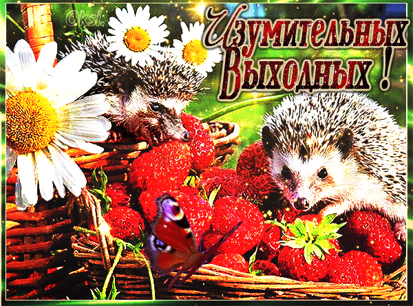 Скачать бесплатно открытки с ёжиками. Открытки с ёжиками gif.