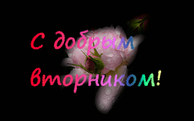 Открытки на вторник скачать. Открытки на вторник бесплатно онлайн.