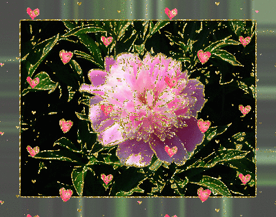 Открытки с розовыми пионами скачать бесплатно. Открытки с розовыми пионами он...