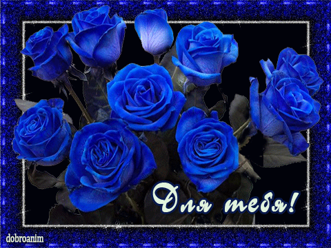 Открытки с синими розами скачать бесплатно. Открытки с синими розами онлайн.