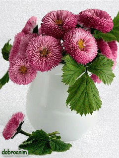 Открытки с хризантемами скачать бесплатно. Открытки с хризантемами онлайн.