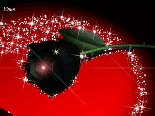 Открытки с черными розами скачать бесплатно. Открытки с черными розами gif.