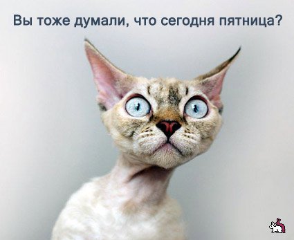 Открытки на четверг скачать. Открытки на четверг бесплатно онлайн.