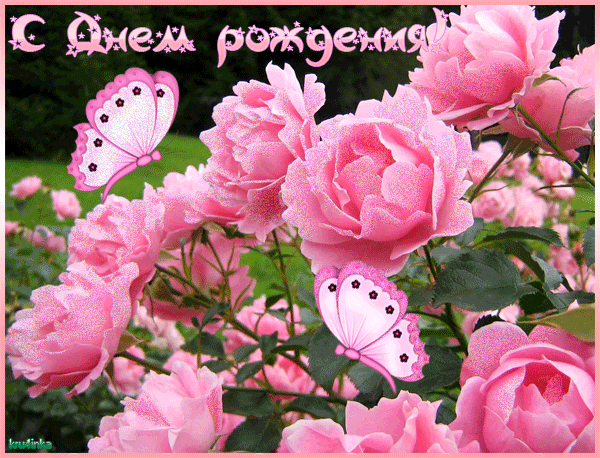 Открытки с пионами в саду скачать бесплатно. Открытки с пионами в саду онлайн.