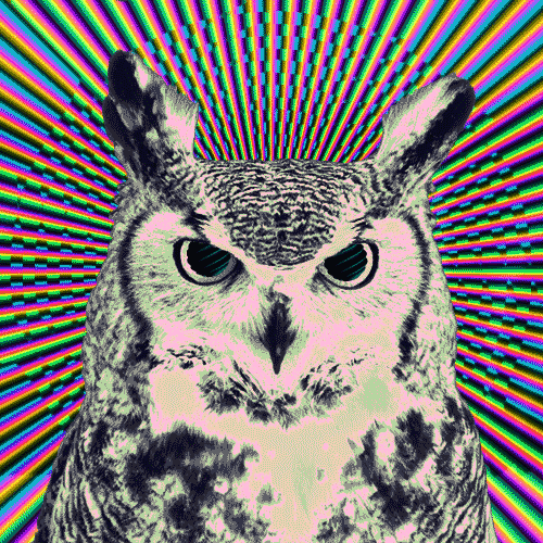 Открытки с совами скачать. Открытки с совами бесплатно онлайн.