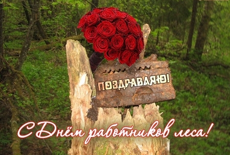Открытки с днём работника леса скачать бесплатно. Открытки с днём работника л...