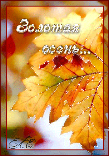 Открытки Золотая осень скачать бесплатно. Открытки Золотая осень gif.