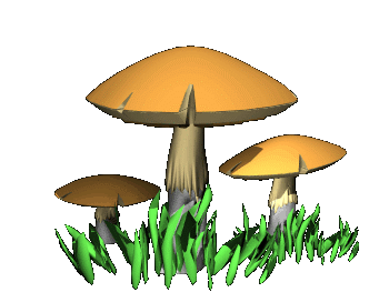 Открытки с лесными грибами скачать бесплатно. Открытки с грибами онлайн.