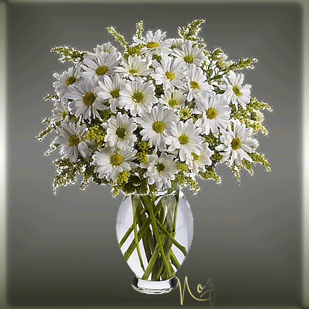 Открытки с букетом ромашек скачать бесплатно. Открытки с букетом ромашек онлайн.