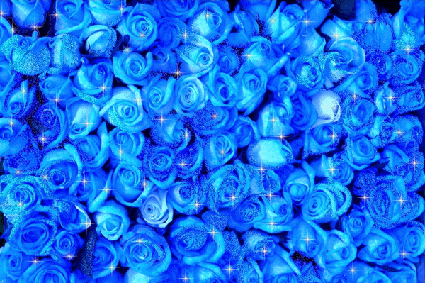 Открытки с синими розами скачать бесплатно. Открытки с синими розами онлайн.