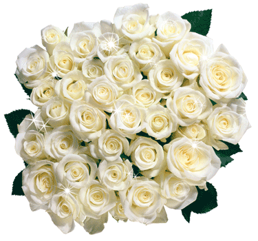 Открытки с белыми розами скачать бесплатно. Открытки с белыми розами онлайн.