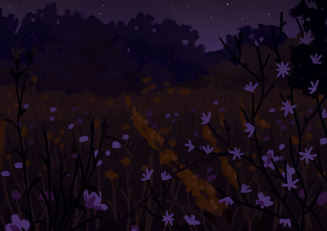 Gif картинки ночь. Аниме природа. Сказочный луг ночью. Фиолетовые светлячки. Поляна цветов ночью.