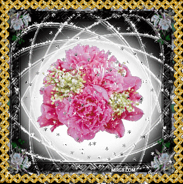 Открытки с розовыми пионами скачать бесплатно. Открытки с розовыми пионами он...