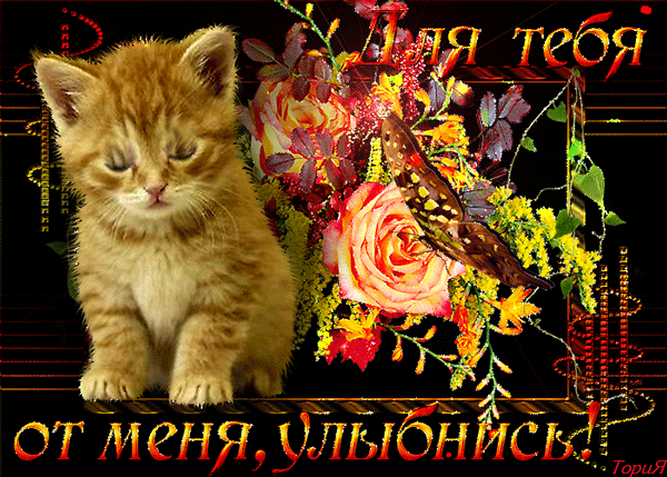 Открытки с улыбкой скачать. Анимацинные Открытки улыбнись скачать бесплатно.