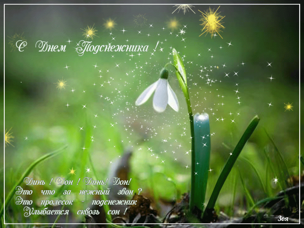 Открытки с днём подснежника gif. Открытки с днём подснежника скачать.