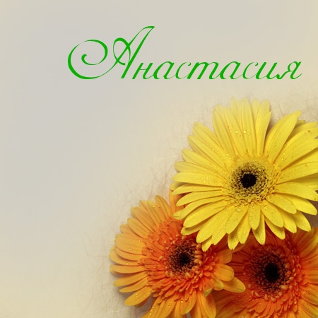 Открытки с именем Анастасия скачать бесплатно. Открытки с именем Анастасия gif.