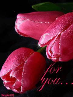 Нежные открытки с розовыми тюльпанами. Открытки с розовыми тюльпанами скачать.