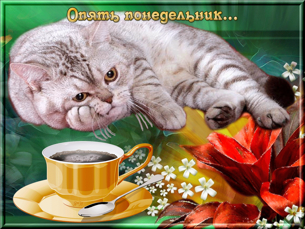 Открытки на понедельник скачать. Открытки на понедельник бесплатно.