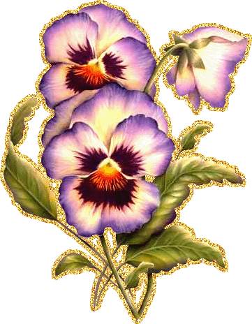 Открытки с разноцветными анютиными глазками скачать бесплатно.