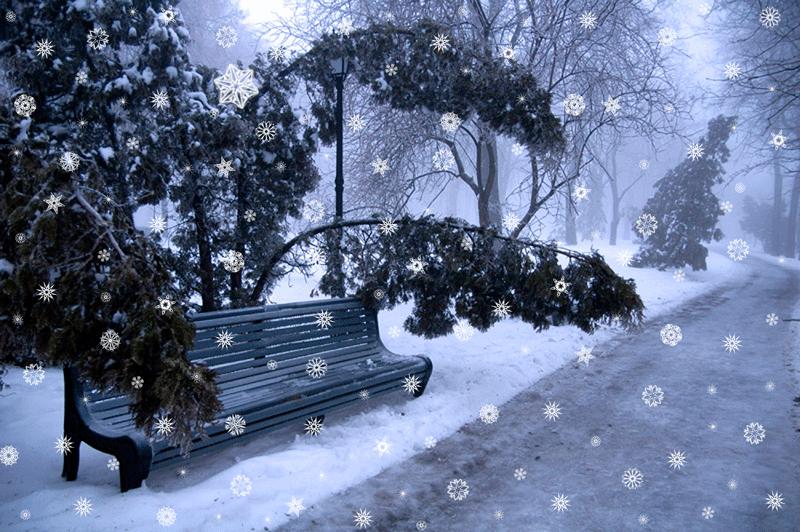 Открытки со снегопадом скачать. Открытки со снегопадом бесплатно.