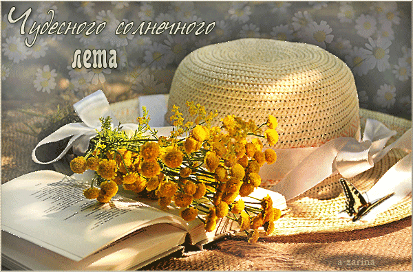 Красивые открытки лето. Скачать бесплатно открытки лето gif.