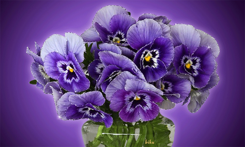 Открытки с фиолетовыми анютиными глазками скачать бесплатно.