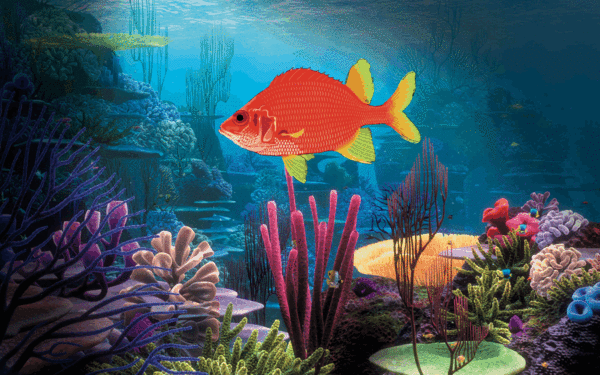 Открытки с подводным миром скачать. Открытки с подводным миром бесплатно.