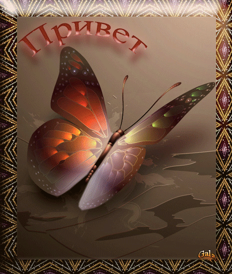  Скачать  красивые  Открытки с  приветствием  бесплатно gif.