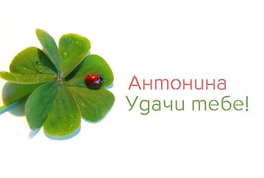 Открытки с именем Антонина скачать бесплатно. Открытки с именем Антонина gif.