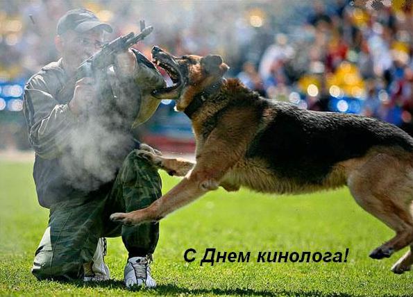Открытки с днём кинолога скачать бесплатно. Открытки с днём кинолога 21 июня.