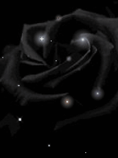 Открытки с черными розами скачать бесплатно. Открытки с черными розами gif.