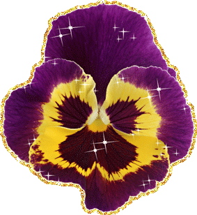 Открытки с фиолетовыми анютиными глазками скачать бесплатно.