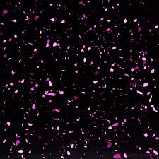 Открытки с лепестками цветов скачать бесплатно. Открытки с лепестками цветов ...