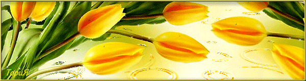 Открытки с желтыми тюльпанами красивые. Открытки с желтыми тюльпанами с анима...
