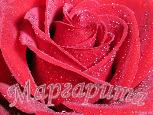Открытки с именем Маргарита скачать бесплатно. Открытки с именем Маргарита gif.